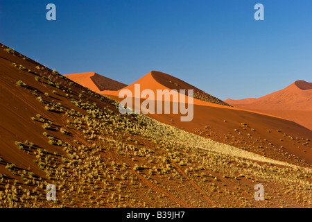 Sanddünen in der Namib-Naukluft National Park, Namibia Stockfoto