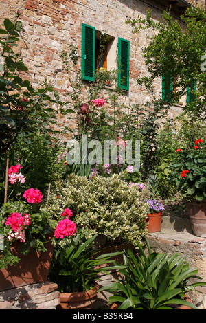 Pienza, Toskana, Italien Stockfoto