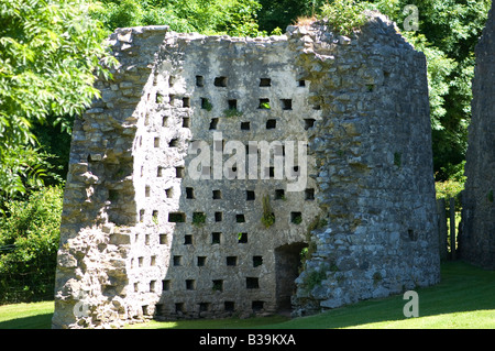 Oxwich Burgruine Gower Stockfoto