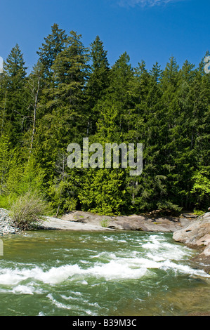 Englishman River Parksville British Columbia Kanada Stockfoto