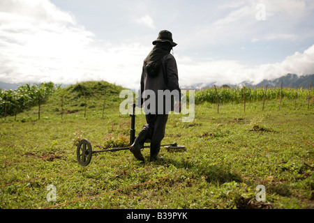 UXO Abstand verwenden Xieng Khouang province,Laos.MAG Personal neuen CEIA Detektor suchen und markieren Sie verdächtige metallische Gegenstände. Stockfoto