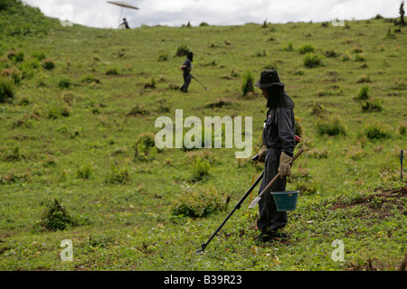 UXO Abstand verwenden Xieng Khouang province,Laos.MAG Personal neuen CEIA Detektor suchen und markieren Sie verdächtige metallische Gegenstände. Stockfoto