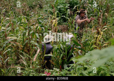 UXO-Clearance, Nong Het District, Xieng Khouang province,Laos.David Davenport führt MAG Team in Phonsavan. Stockfoto