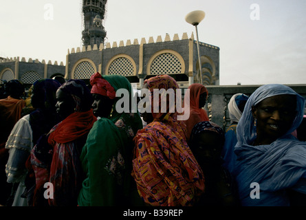 TOUBA, AFRIKAS WENIG MEKKA ", PFLÜGEN, SAU ERDNÜSSE AUF MARABOUT FARM. KEINER VON DEN EIFRIGEN ANHÄNGERN SIND FÜR IHRE ARBEIT BEZAHLT, 1996 Stockfoto