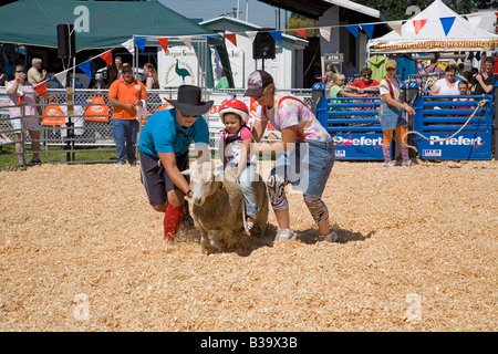 Ein kleines Mädchen trägt einen Helm befreit ein Schaf in ein kleines Kind s Rodeo an der Oregon State Fair Stockfoto