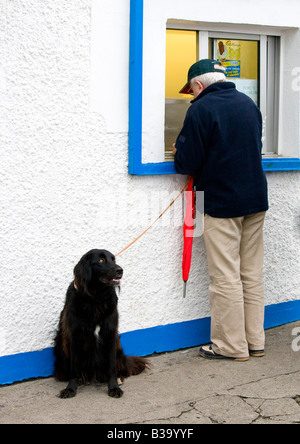 Hund warten auf master Stockfoto