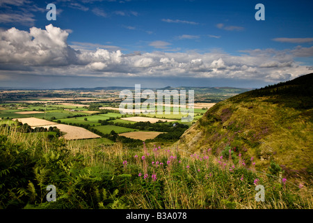 Nähe von Carlton Bank Blick über Stokesley Plain North Yorkshire Topping Stockfoto