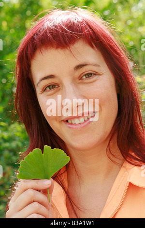 Kinkgo Biloba Blatt Stockfoto