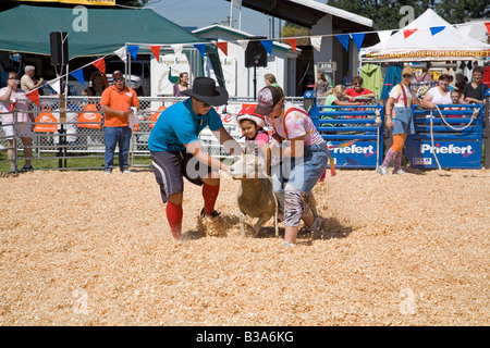 Ein kleines hispanischen Mädchen tragen einen Helm befreit ein Schaf in ein kleines Kind s Rodeo an der Oregon State Fair Stockfoto