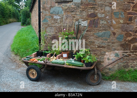 Bauernhof frisches Gemüse und Blumen zum Verkauf Nether Stowey Quantocks Hills Somerset UK Anzeigen außerhalb der Farm Honesty Box 2000s 2008 HOMER SYKES Stockfoto