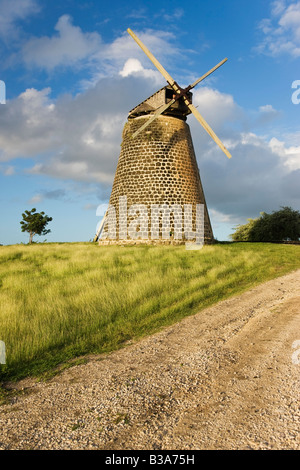 Caribbean, Leeward Islands, Antigua & Barbuda, Antigua, Bettys Hoffnung historische Zuckerplantage, Windmühle Stockfoto