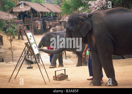 Thailand, Chiang Mai, Mae Sa Elephant Camp, Elefanten-Show, Elefanten Malerei mit Stamm Stockfoto