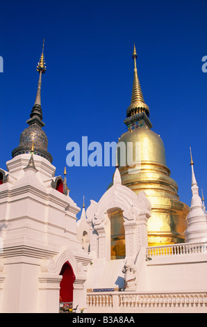 Thailand, Chiang Mai, Wat Suan Dok Stockfoto