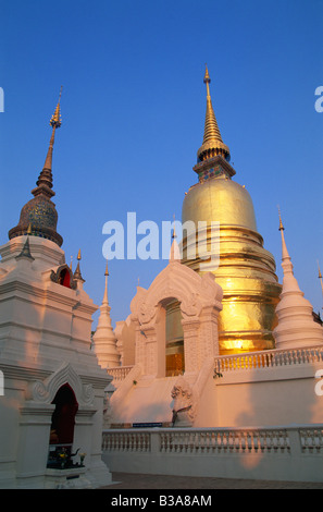 Thailand, Chiang Mai, Wat Suan Dok Stockfoto