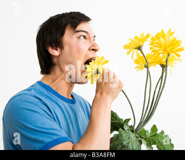 Asiatische junge Mann isst Bouquet von gelben Gerber Gänseblümchen Stockfoto