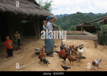 Nong Het District, Provinz Xieng Khouang, Laos. Eine junge Mutter füttert ihr Hühner. Stockfoto