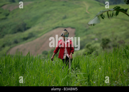 Nong Het District, Provinz Xieng Khouang, Laos. Eine junge Frau bei der Feldarbeit. Stockfoto