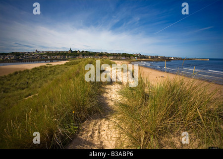 Lossiemouth aus den Dünen Stockfoto