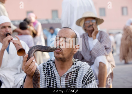 Schlangenbeschwörer in Platz Jemaa El Fna Marrakesch