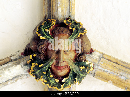 Grüner Mann Norwich Kathedrale Kreuzgang Dach Boss mythischen mittelalterlichen englischen Figur Kreatur wilder Mann Steinbildhauen Norfolk England Stockfoto