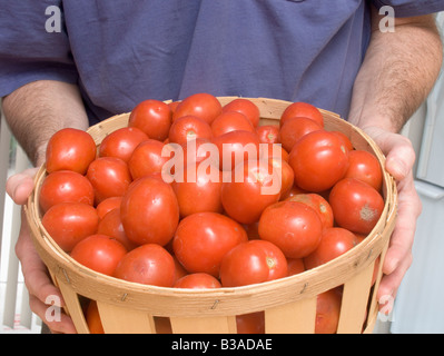 Mann hält einen Scheffel Korb von New Jersey Eiertomaten Stockfoto