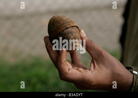 Nong Het District, Provinz Xieng Khouang, Laos. Ein Bombie auf einem unbewachten Schrotthändler Haufen Rost Munition gefunden. Stockfoto