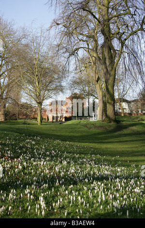 Stadt von Derby, England. Derby Arboretum Park wurde von John Claudius Loudon entworfen. Stockfoto