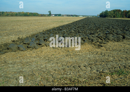 Bauernhof gepflügtes Feld Saginaw County Michigan USA Stockfoto