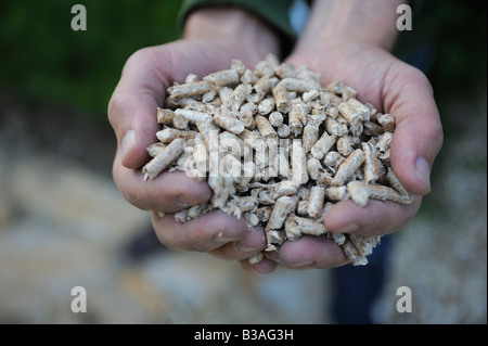 A mans Händen mit Holzpellets in einem umweltfreundlichen Kessel verbrannt werden. Stockfoto