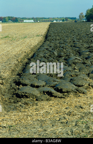 Bauernhof gepflügtes Feld Saginaw County Michigan USA Stockfoto