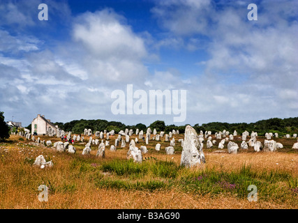 Alignements du Menec Standing Stones in Carnac Morbihan Bretagne Frankreich Europa Stockfoto