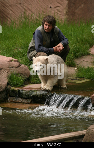 Flocke Schneeflocke der Polar Bear Cub spielen mit ihrem Keeper Horst Maussner am Zoo Nürnberg Stockfoto