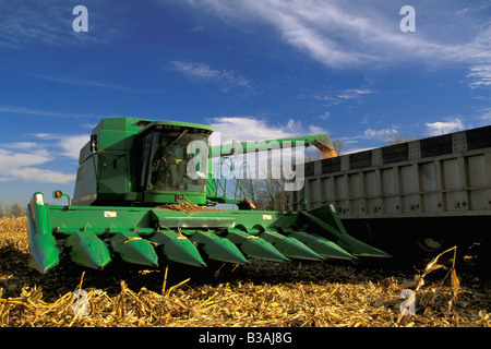 Maisernte, Saginaw County, Michigan, durch Dembinsky Foto Assoc Stockfoto