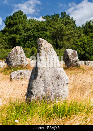 Alignements du Menec Standing Stones in Carnac Morbihan Bretagne Frankreich Europa Stockfoto