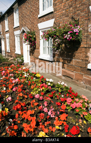 UK Cheshire Tarporley High Street bunte Begonien in Reihenhaus-Vorgarten Stockfoto