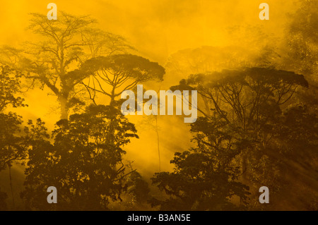 COSTA RICA, Regenwald-Landschaft der Sonnenstrahlen, die Filterung durch frühen Morgenlicht im Tropenwald Stockfoto