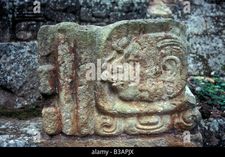 Maya glyphen an der Maya Ruinen von Copan, Honduras, Mittelamerika Stockfoto