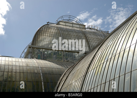 England, London, äußere des Palmenhauses in Kew Gardens, Nahaufnahme Stockfoto