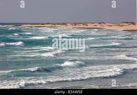 ESP-Spanien-Kanarische Inseln Fuerteventura Strand im nördlichen Teil der Insel in der Nähe von Corralejo Stockfoto