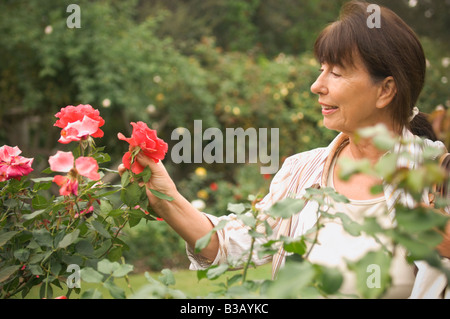 Senior-Hispanic Frau Rose betrachten Stockfoto