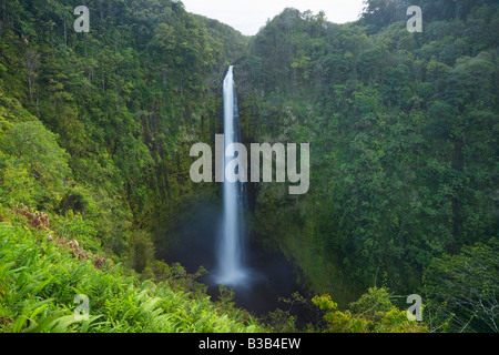 Akaka Falls Big Island Hawaii USA Stockfoto