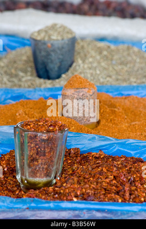 Chili und Gewürzen in der Siab-Markt in Samarkand, Usbekistan Stockfoto