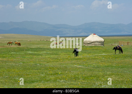 Jurten und Pferde auf See Lied Kul in Kirgisien Stockfoto