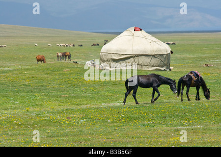 Jurten und Pferde auf See Lied Kul in Kirgisien Stockfoto