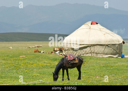 Jurten und Pferde auf See Lied Kul in Kirgisien Stockfoto