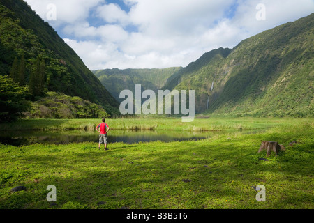 Tourist in Waimanu Tal Kohala Forest Reserve Big Island Hawaii USA Stockfoto