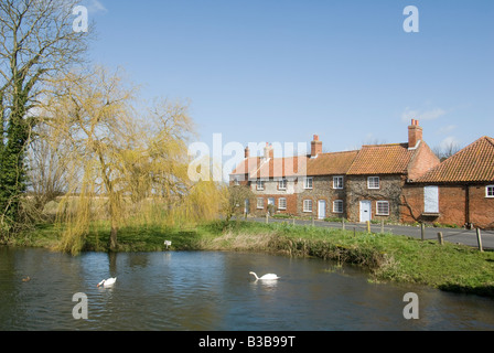 Schwäne am Ententeich in das hübsche Dorf Burnham Overy Staithe Norfolk East Anglia uk Stockfoto