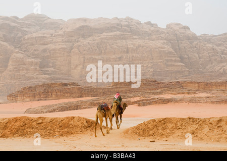 Beduinen auf Kamel, Wadi Rum, Jordanien Stockfoto