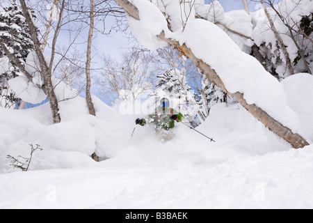 Telemarken auf Asahidake, Daisetsuzan Nationalpark, Hokkaido, Japan Stockfoto