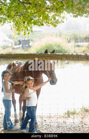 Hispanische Schwestern streicheln Pferd Stockfoto